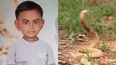 കാസര്‍കോട് പാമ്പ് കടിയേറ്റ് ചികിത്സയിലായിരുന്ന നാലര വയസുകാരി മരിച്ചു