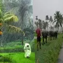ഒറ്റപ്പെട്ട ശക്തമായ മഴയ്ക്കുള്ള സാധ്യത; സംസ്ഥാനത്ത് വേനല്‍മഴ തുടരും, ഇന്നും നാളേയും വിവിധ ജില്ലകളില്‍ യെല്ലോ അലര്‍ട്ട്