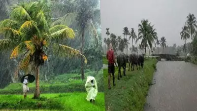 ഒറ്റപ്പെട്ട ശക്തമായ മഴയ്ക്കുള്ള സാധ്യത; സംസ്ഥാനത്ത് വേനല്‍മഴ തുടരും, ഇന്നും നാളേയും വിവിധ ജില്ലകളില്‍ യെല്ലോ അലര്‍ട്ട്