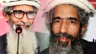 ലഷ്‌കറെ തൊയിബ സ്ഥാപക അംഗമായ ഭീകരന്‍ ആമിര്‍ ഹംസയ്ക്ക് പാകിസ്ഥാനില്‍ വെടിയേറ്റു; നില അതീവ ഗുരുതരം, ആക്രമണത്തിന് പിന്നില്‍ ആരെന്ന് വ്യക്തമല്ല