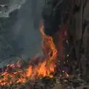 തിരുവനന്തപുരം മലയിന്‍കീഴ് മുക്കുന്നിമലയില്‍ തീപിടിത്തം: ഏക്കര്‍ കണക്കിന് പ്രദേശം കത്തി നശിച്ചു