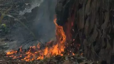 തിരുവനന്തപുരം മലയിന്‍കീഴ് മുക്കുന്നിമലയില്‍ തീപിടിത്തം: ഏക്കര്‍ കണക്കിന് പ്രദേശം കത്തി നശിച്ചു