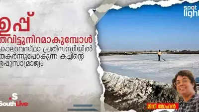 ഉപ്പ് തവിട്ടുനിറമാകുമ്പോൾ, കാലാവസ്ഥാ പ്രതിസന്ധിയിൽ തകർന്നുപോകുന്ന കച്ചിന്റെ ഉപ്പുസാമ്രാജ്യം