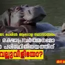 കരുണയുടെ പേരിൽ ആഗോള സ്ഥാനാന്തരം: ഹിപ്പോ രക്ഷാപ്രവർത്തനമോ, ഇന്ത്യൻ പരിസ്ഥിതിനയത്തിന് വെല്ലുവിളിയോ?