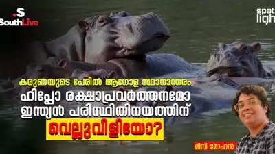 കരുണയുടെ പേരിൽ ആഗോള സ്ഥാനാന്തരം: ഹിപ്പോ രക്ഷാപ്രവർത്തനമോ, ഇന്ത്യൻ പരിസ്ഥിതിനയത്തിന് വെല്ലുവിളിയോ?
