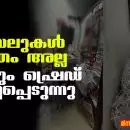 'ഫയലുകൾ മാത്രം അല്ല, ഭയവും ഷ്രെഡ് ചെയ്യപ്പെടുന്നു'; മിനി മോഹൻ
