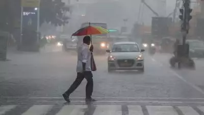 സംസ്ഥാനത്ത് അതിശക്തമായ മഴയ്ക്ക് സാധ്യത; 10 ജില്ലകളിൽ യെല്ലോ അലർട്ട്, ശക്തമായ കാറ്റിനും ഇടിമിന്നലിനും സാധ്യതയെന്ന് മുന്നറിയിപ്പ്