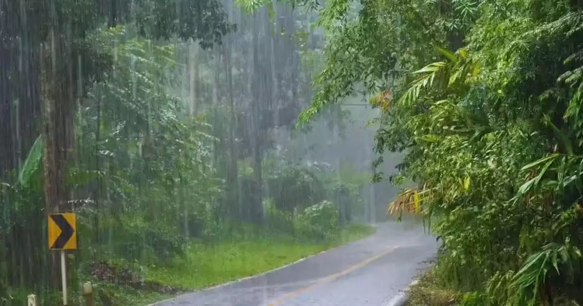 സംസ്ഥാനത്ത് ഇന്നും പരക്കെ മഴയ്ക്ക് സാധ്യത; ആറ് ജില്ലകളിൽ യെല്ലോ അലേർട്ട്