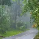 സംസ്ഥാനത്ത് ഇന്നും പരക്കെ മഴയ്ക്ക് സാധ്യത; ആറ് ജില്ലകളിൽ യെല്ലോ അലേർട്ട്