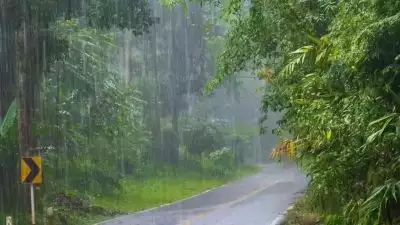 സംസ്ഥാനത്ത് ഇന്നും പരക്കെ മഴയ്ക്ക് സാധ്യത; ആറ് ജില്ലകളിൽ യെല്ലോ അലേർട്ട്