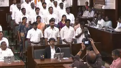 വിശ്വാസ വോട്ടെടുപ്പിൽ ടിവികെയ്ക്ക് വമ്പൻ വിജയം; 144 എംഎൽഎമാരുടെ പിന്തുണയോടെ ഭൂരിപക്ഷം തെളിയിച്ച് വിജയ് സർക്കാർ