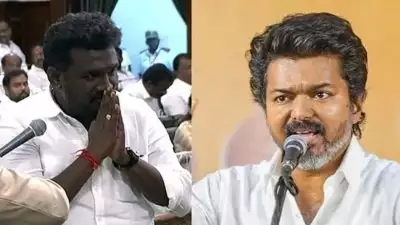 'ഒരു വോട്ടിന് വിജയിച്ച എംഎൽഎയെ വിശ്വാസ വോട്ടെടുപ്പിൽ പങ്കെടുപ്പിക്കരുത്'; നിർദേശം നൽകി മദ്രാസ് ഹൈക്കോടതി, ടിവികെയ്ക്ക് തിരിച്ചടി