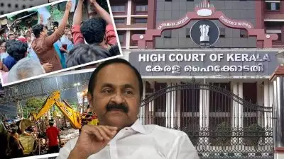 'കോടതി വിധിയെ സര്‍ക്കാര്‍ അനുസരിക്കണം, സാങ്കേതികത പറയുകയല്ല വേണ്ടത്'; പാരിയത്ത് കാവ് ഒഴിപ്പിക്കലിൽ വിധി നടപ്പാക്കുകയല്ലാതെ സര്‍ക്കാരിന് മറ്റ് മാര്‍ഗമില്ലെന്ന് ഹൈക്കോടതി