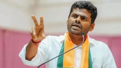 അണ്ണാമലൈ ബിജെപിയിൽ നിന്ന് രാജിവച്ചു; നാലുമണിക്ക് അമിത് ഷായുമായി കൂടിക്കാഴ്ച