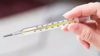 പനിച്ച് വിറച്ച് കേരളം; പകർച്ചപ്പനി ബാധിച്ച് ഇന്നലെ മാത്രം ചികിത്സ തേടിയത് 13,025 പേർ, 2 മരണം