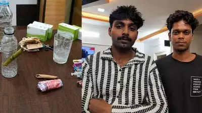 ലഹരി കിട്ടാൻ കാൻസർ ബാധിതർക്ക് നൽകുന്ന വേദനസംഹാരികൾ, കഞ്ചാവ് പുകച്ച് വലിക്കാൻ പപ്പായയുടെ തണ്ട്; ഇടുക്കിയിൽ മൂന്ന് യുവാക്കൾ പിടിയിൽ