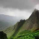 കൊളുക്കുമലയിലെ ഹാരിസൺ മലയാളം കമ്പനിയുടെ കൈവശമിരുന്ന 100 ഏക്കർ സർക്കാർ ഭൂമി വനംവകുപ്പ് തിരിച്ച് പിടിച്ചു