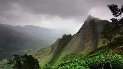 കൊളുക്കുമലയിലെ ഹാരിസൺ മലയാളം കമ്പനിയുടെ കൈവശമിരുന്ന 100 ഏക്കർ സർക്കാർ ഭൂമി വനംവകുപ്പ് തിരിച്ച് പിടിച്ചു