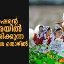 തുർക്ക്മെനിസ്ഥാനിലെ പരുത്തിപ്പാടങ്ങളിൽ നിന്ന് ഒരു അന്വേഷണം; ലോക ഫാഷന്റെ അലമാരയിൽ ഒളിപ്പിച്ചിരിക്കുന്ന നിർബന്ധിത തൊഴിൽ