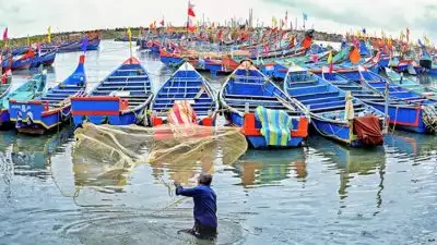 സംസ്ഥാനത്ത് ട്രോളിംഗ് നിരോധനം നിലവിൽ വന്നു; 52 ദിവസം മത്സ്യ ബന്ധനം പാടില്ല, ജൂലൈ 31 വരെ നീളും