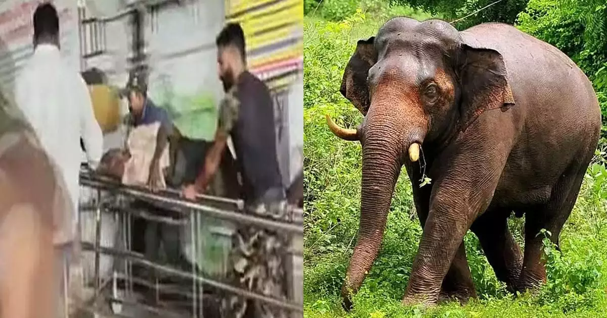 സംസ്ഥാനത്ത് വീണ്ടും കാട്ടാന ആക്രമണം; വയനാട് കാട്ടിക്കുളത്ത് പരിക്കേറ്റ തൊഴിലാളി മരിച്ചു