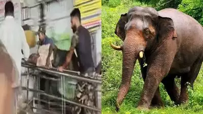 സംസ്ഥാനത്ത് വീണ്ടും കാട്ടാന ആക്രമണം; വയനാട് കാട്ടിക്കുളത്ത് പരിക്കേറ്റ തൊഴിലാളി മരിച്ചു